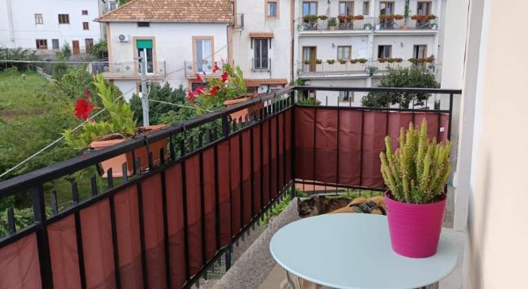 Holiday apartment | Pet-friendly — photo 3