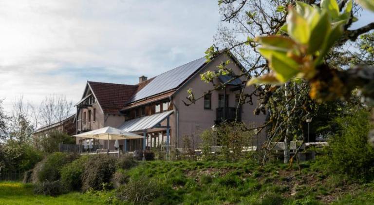 Landgasthof/Hotel Hirsch im Grunen in Muensing