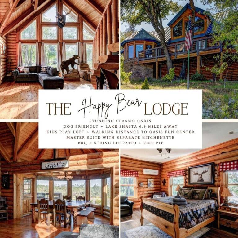 Cabin Shasta Lake