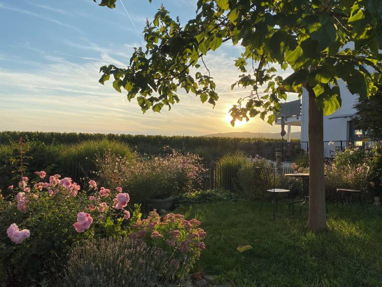 Ferienwohnung Gau-Algesheim
