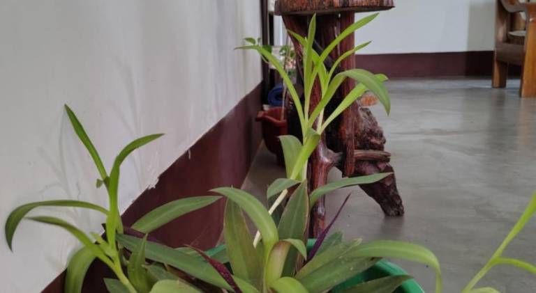 foto15
