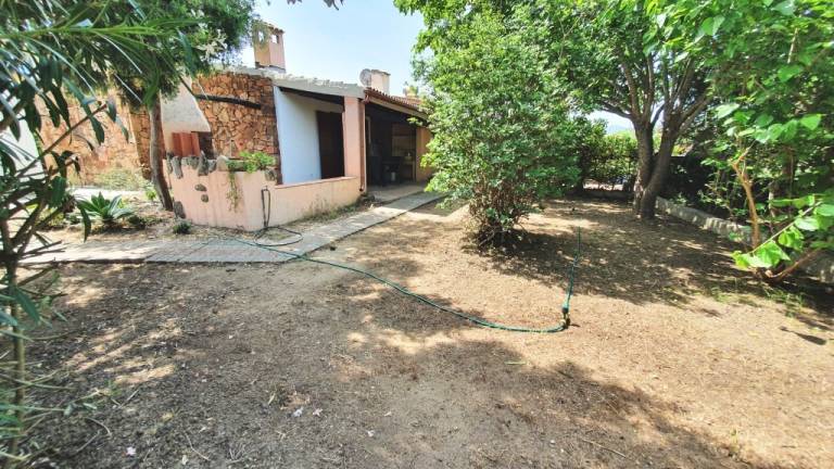 Family-oriented holiday apartment with barbeque | Dogs allowed — photo 2