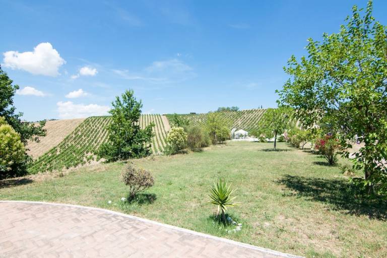 foto4