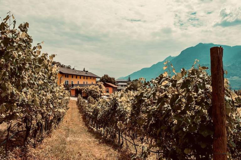 Casale  Trento