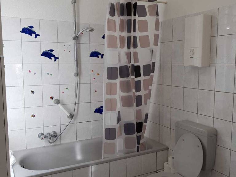 foto19