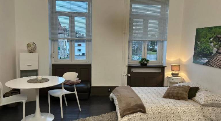 Chambre lumineuse Les Chambres Bannacker 25 m2 Centre & gare a pied in Haguenau