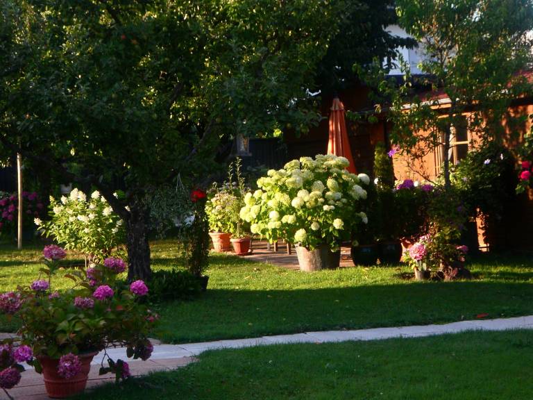 foto6