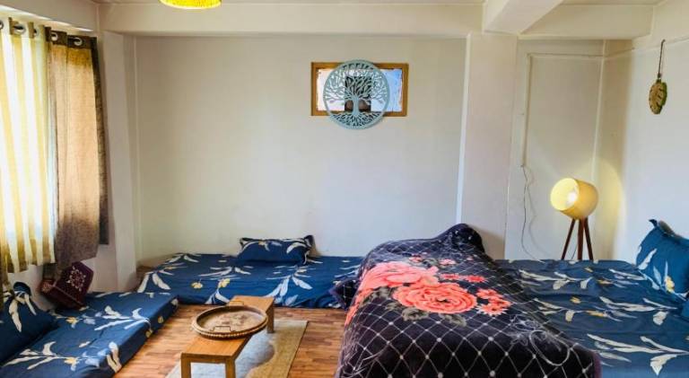 The Ivy House Sethan in Manali