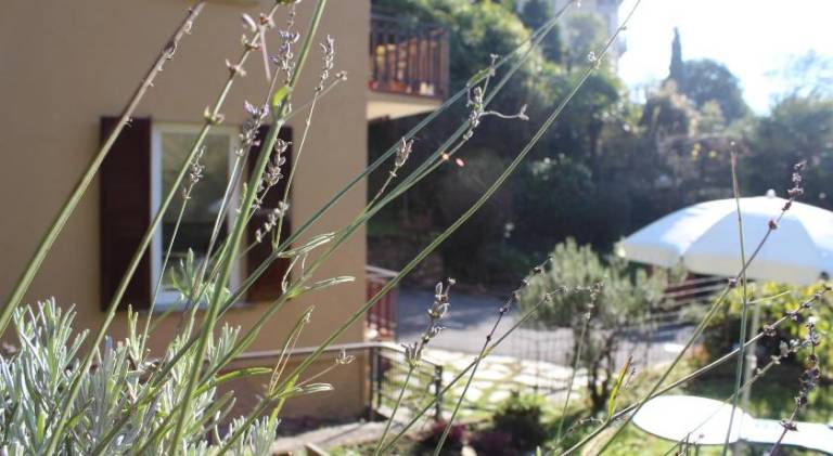 Vacation home with 1 room for 3 persons — photo 5