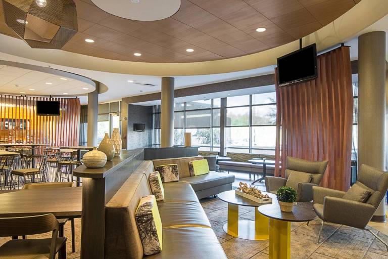 SpringHill Suites by Marriott Tampa North/I-75 Tampa Palms — photo 3