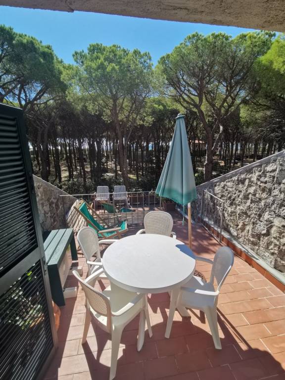 Fully equipped holiday apartment with garden & terrace | Pets are welcome in Campo nell'Elba