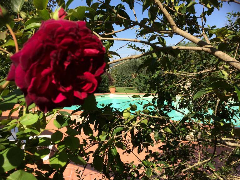 foto43