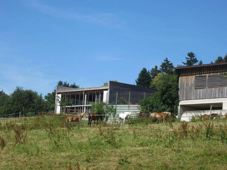 foto16