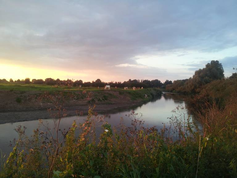 foto17