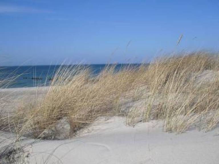 Ferienwohnung Graal-Müritz