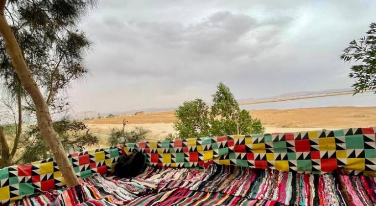 Sunset Tree Camp in Siwa