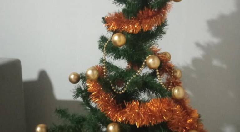 foto17