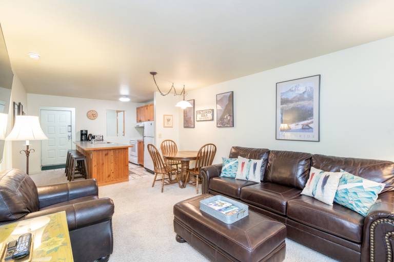 Condo Telluride