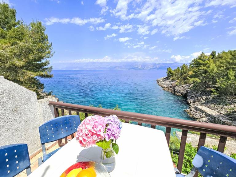 Apartma Uvala Bristova