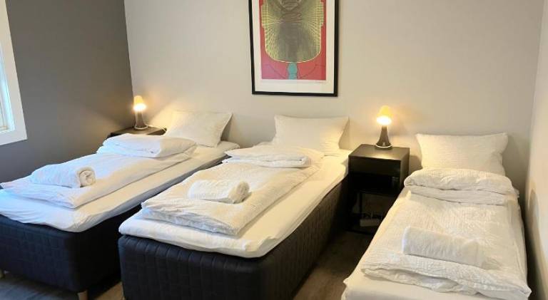 Holiday apartment | Next to Storting building | Pets allowed — photo 2
