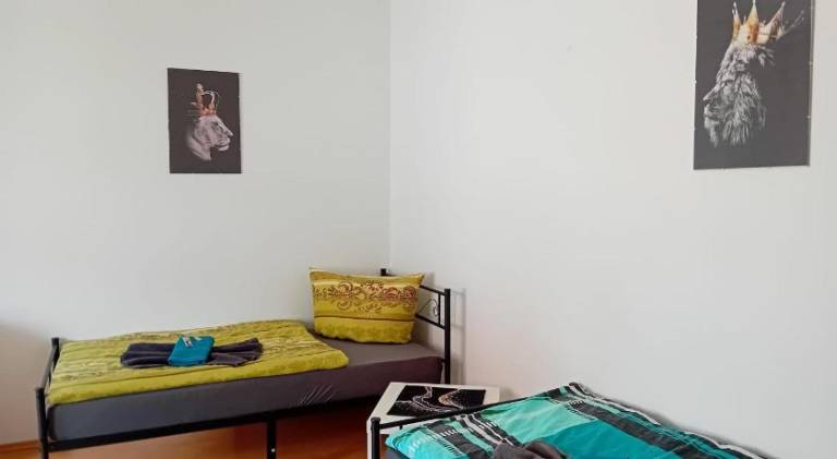 foto11