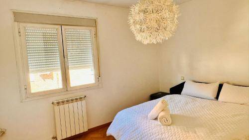 Chambre d'hôtes  Corralejos