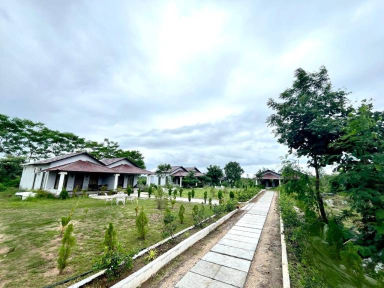 Tuli Orchid - A Boutique Eco Resort — photo 5