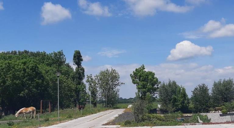 foto40