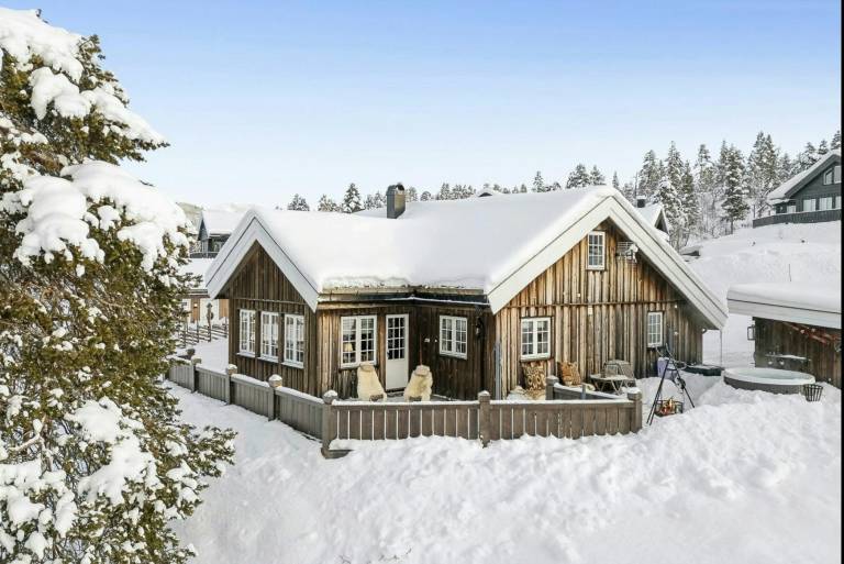 Log cabin with hot tub in Rauland in Vinje