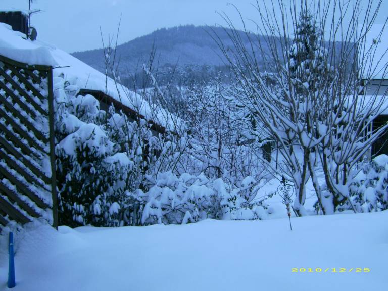 foto7