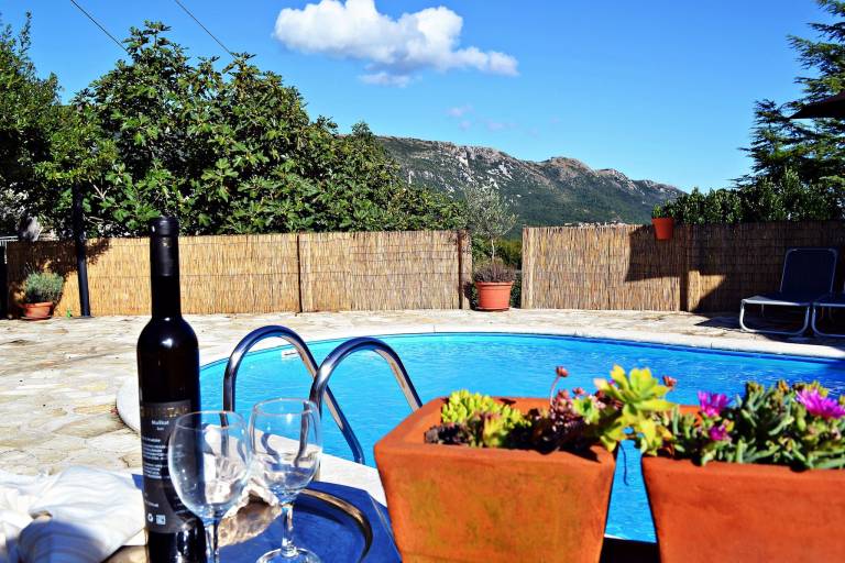 Apartment  Plomin Luka