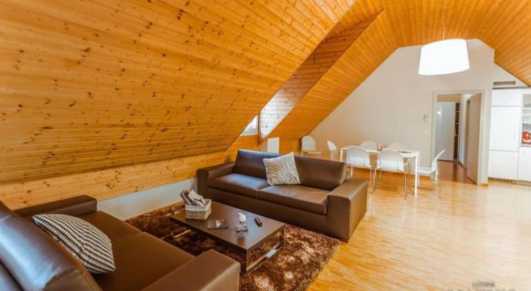 Charming serviced apartment | Pets allowed in Neuchatel