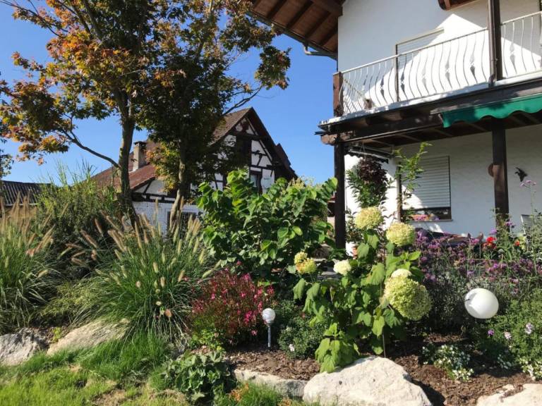 foto43