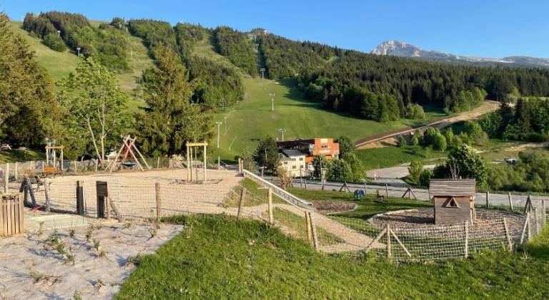 Holiday apartment | Next to the ski | Pets are welcome — photo 4
