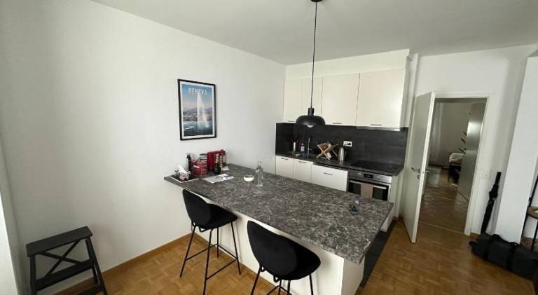 Wonderful holiday apartment | Next to Jet d'Eau | Pets allowed — photo 2