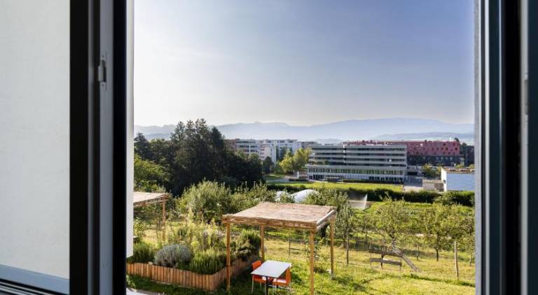 Le Domaine (Swiss Lodge) — photo 5