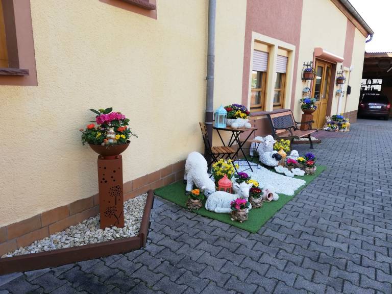 foto4