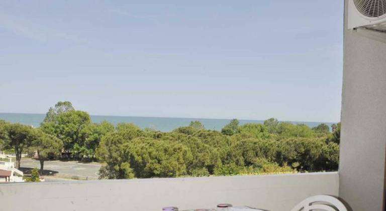 Apartment | Beach nearby | Dogs allowed — photo 5