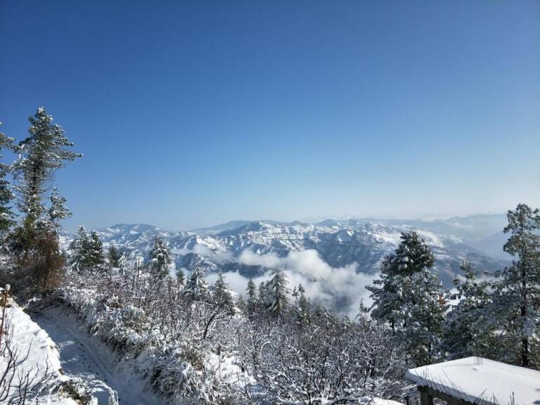 SILVERMOON HOMESTAY SHIMLA NEAR KUFRI — photo 5