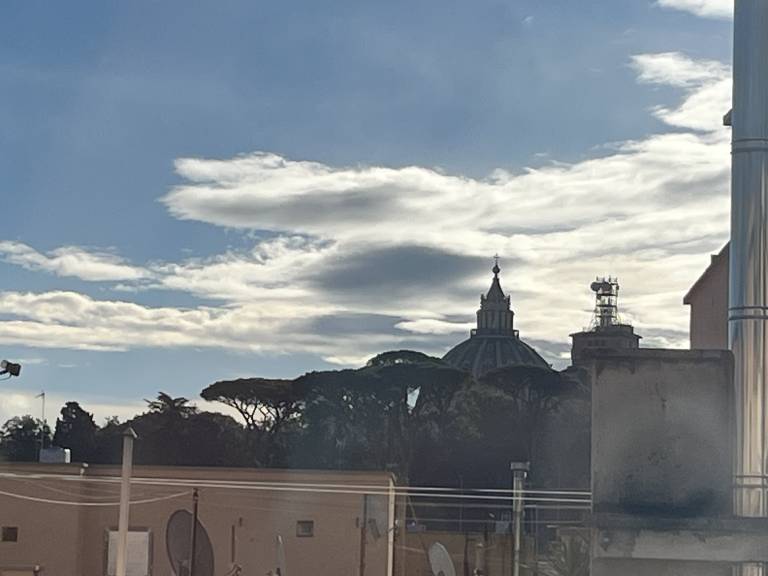 Delizioso appartamento vista San Pietro