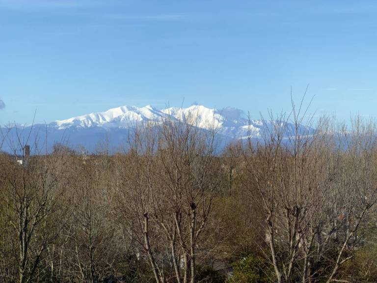 Cozy Loft-Style T2 with Pool & Parking, near Argelès-sur-Mer Beach in Collioure