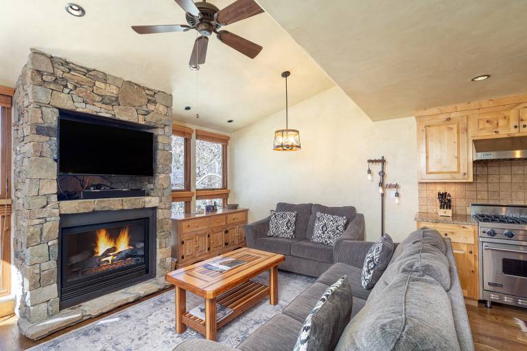 Condo  Telluride