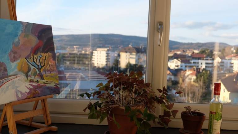 Appartement en copropriété Argonay