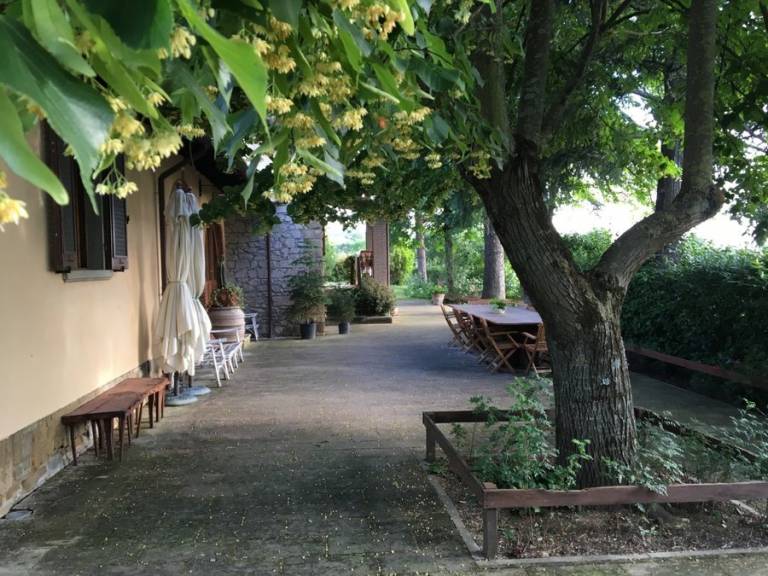foto34
