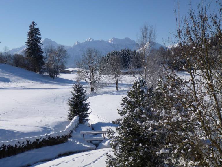 foto5