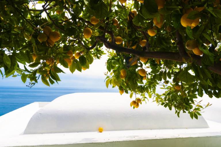 Villa Raissa luxury Property in Positano with private jacuzzi — photo 4
