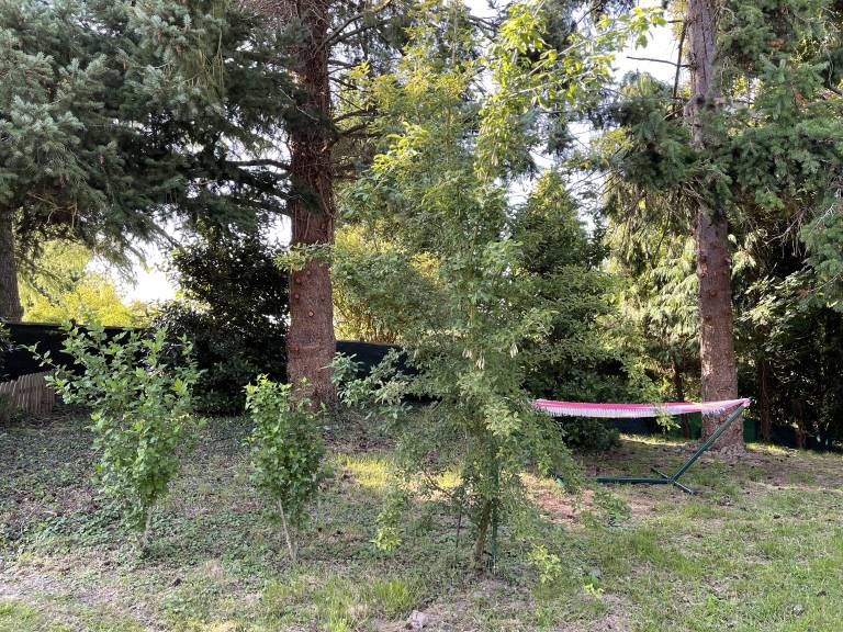foto17