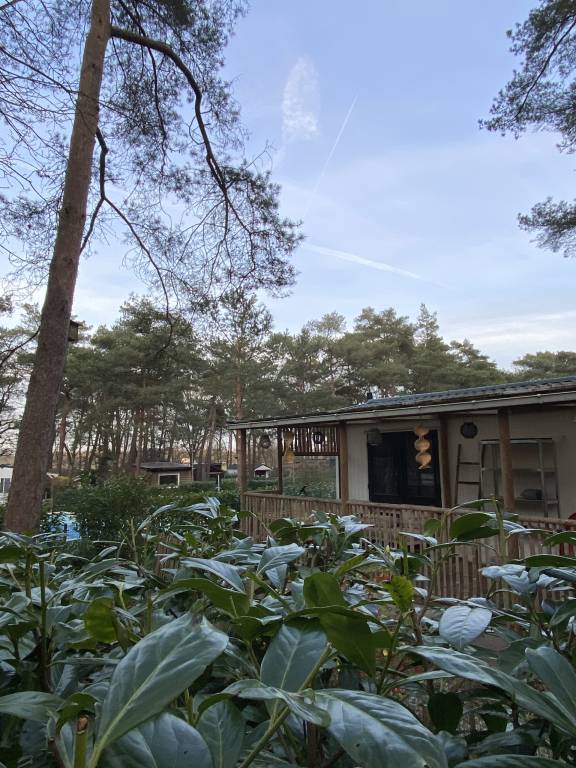 Recreatiepark Klein Zwitserland Zomereik