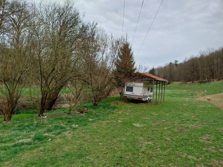 foto6