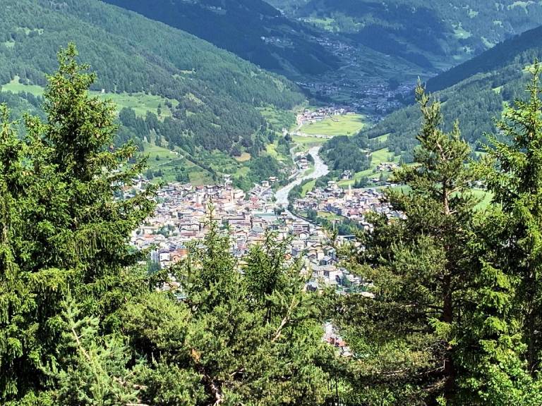 foto19